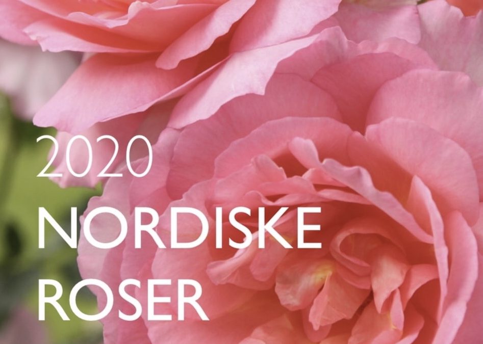 Nordiske roser🌹