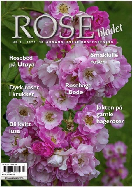 Rosebladet 2/2020