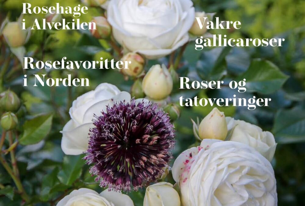 Rosebladet 1/2021