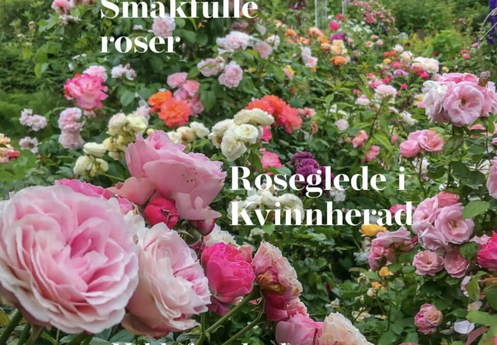 Rosebladet 2/2021