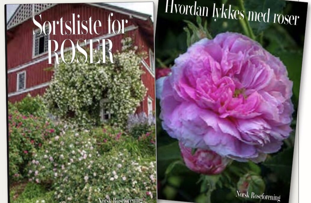 Sortsliste for roser og Hvordan lykkes med roser