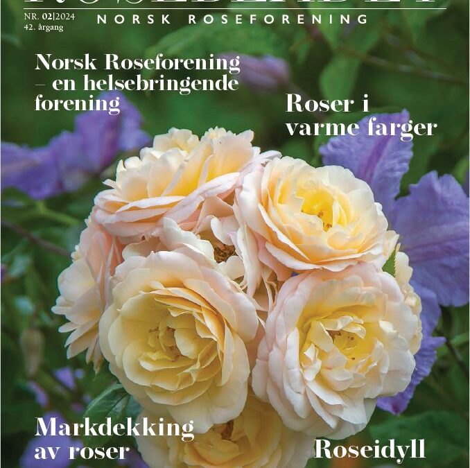 Rosebladet 2/2024