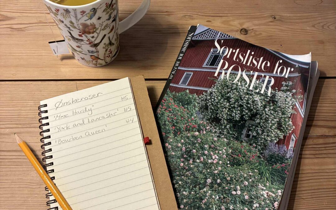 Valg av roser