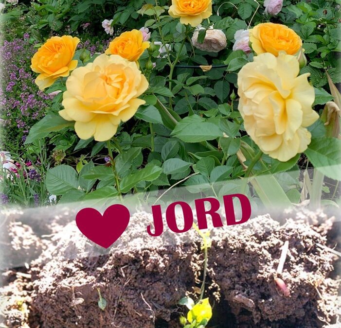 Velkommen til foredrag 14. mars kl. 16:00! Tema: &laquo;Jord og Jordhelse: Eksempler på konkrete tiltak for å få en levende jord.&raquo;